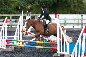 Class 3 -  Fences not above 2'3